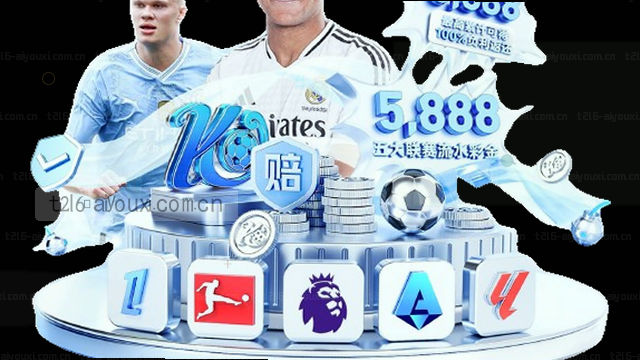 T2L6年度首页定制导航